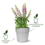 vibia straight round 40cm pistachio green